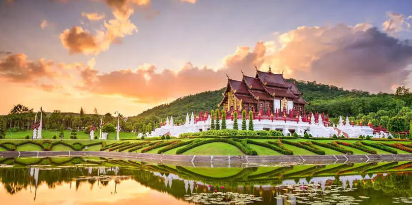 سواق في تايلاند يتكلم عربي